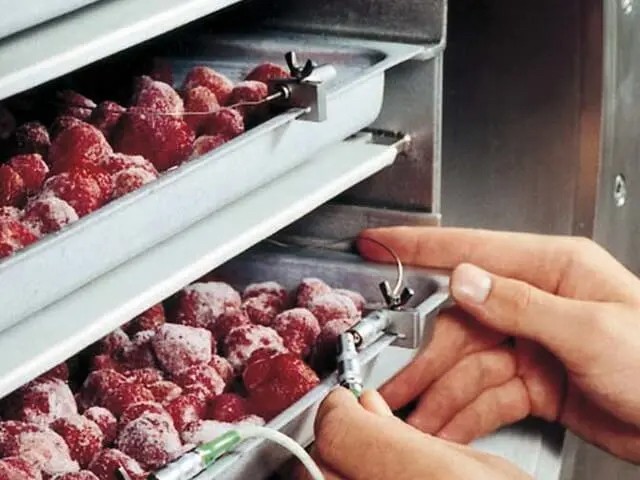 為什么建議真空冷凍干燥前進(jìn)行預(yù)凍處理